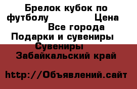 Брелок кубок по футболу Fifa 2018 › Цена ­ 399 - Все города Подарки и сувениры » Сувениры   . Забайкальский край